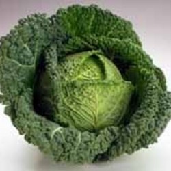 Fresh Savoy Cabbage