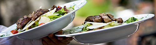 Zone meal Zone Diet